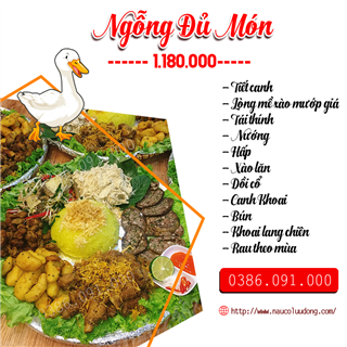 Đặt Tiệc Ngỗng Đủ Món Tại Nhà Hà Nội 0386091000
